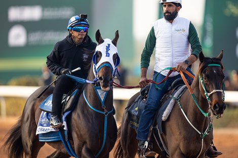 SC2025 Morning Trackwork_19 Feb 2025<br>
Horse: Howard Wolowitz