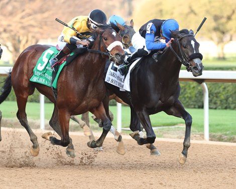 WILD BOUT HILARY wins the 2025 Bayakoa Stakes at Oaklawn Park
