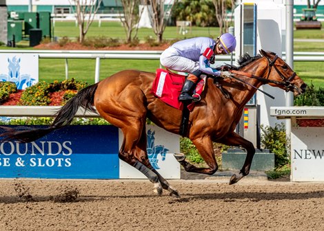 Ahavah, Maiden Win, Fair Grounds, February 15 2025