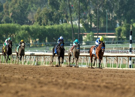 Citizen Bull and jockey Martin Garcia, right, win the G3, $200,000 Robert B. Lewis Stakes, Saturday, February 1, 2025 at Santa Anita Park, Arcadica CA.<br>
&#169; BENOIT PHOTO