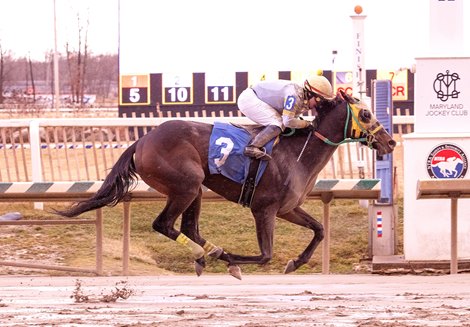 Regaled, AOC, Laurel Park, February 16 2025