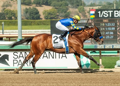 Citizen Bull and jockey Martin Garcia win the G3, $200,000 Robert B. Lewis Stakes, Saturday, February 1, 2025 at Santa Anita Park, Arcadica CA.<br>
© BENOIT PHOTO