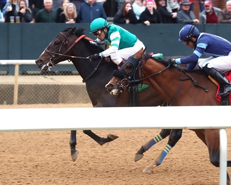 Authentic Gallop, AOC, Oaklawn Park, February 7 2025