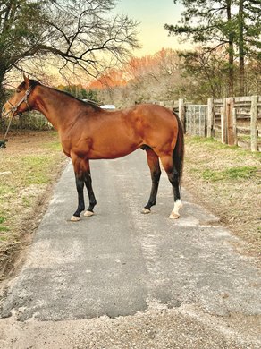 Gormley at Red River Farms