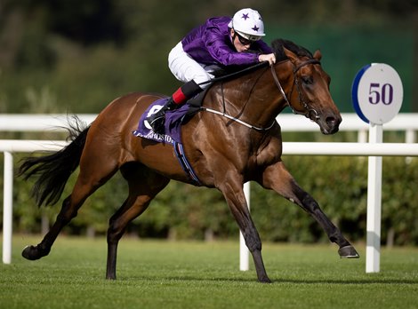 Hill Road and David Egan winners of the 1m colts and geldings maiden.<br>
Leopardstown.<br>
Photo: Patrick McCann/Racing Post<br>
08.08.2024