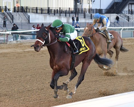 Captain Cook wins the 2025 Withers Stakes at Aqueduct Racetrack