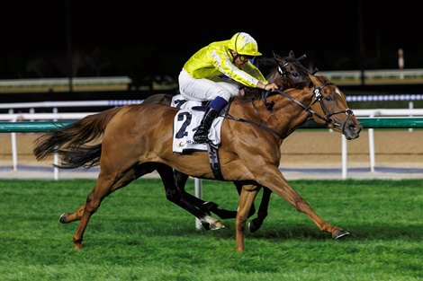 Choisya wins the 2025 Balanchine at Meydan Racecourse