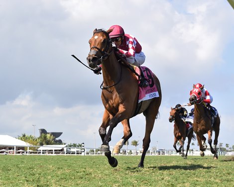 Vixen wins the 2025 Sweetest Chant Stakes at Gulfstream Park