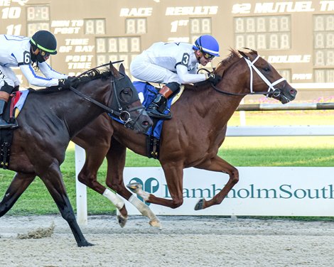 John Hancock wins the 2025 Sam F. Davis Stakes at Tampa Bay Downs John Hancock wins the 2025 Sam F. Davis Stakes at Tampa Bay Downs
