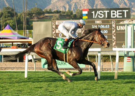 Nguyen and Tran’s Scipio and jockey Flavien Prat win the $100,000 Baffle Stakes Sunday, February 16, 2025 at Santa Anita Park, Arcadia, CA.<br>
Benoit Photo