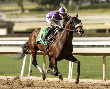 Baeza, Maiden Win, Santa Anita Park, February 14 2025 Half to Mage, Dornoch