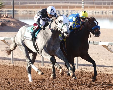 GETAWAY CAR wins the 2025 Sunland Park Derby at Sunland Park