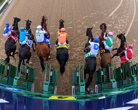 Burnham Square wins the 2025 Holy Bull Stakes at Gulfstream Park