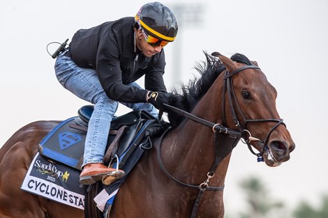 SC2025 Morning Trackwork_20 Feb 2025<br>
Horse: Cyclone State