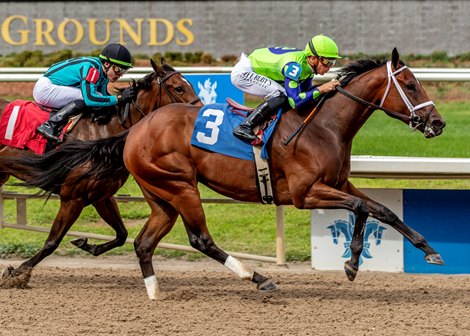 Velvet Vortex, Maiden Win, Fair Grounds, February 15 2025