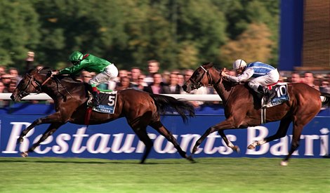 Sinndar (J Murtagh) September 2000<br>
wins the Arc from Egyptband(O Doleuze) at Longchamp Mirrorpix