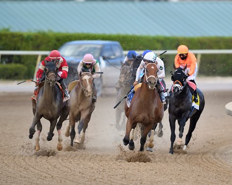 Burnham Square wins the 2025 Holy Bull Stakes at Gulfstream Park