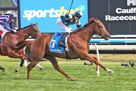 Jimmysstar wins the 2025 Oakleigh Plate at Caulfield Racecourse<br>
ridden by Ethan Brown and trained by Ciaron Maher