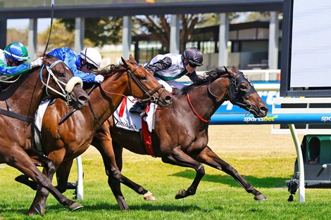 Mr Brightside wins the 2025 Futurity Stakes at Caulfield Racecourse<br>
ridden by Craig Williams and trained by Ben, Will & JD Hayes