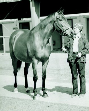 A Wind Is Rising sells for $1.2 Million at Ocala Breeders' Winter Mixed Sale in 1983