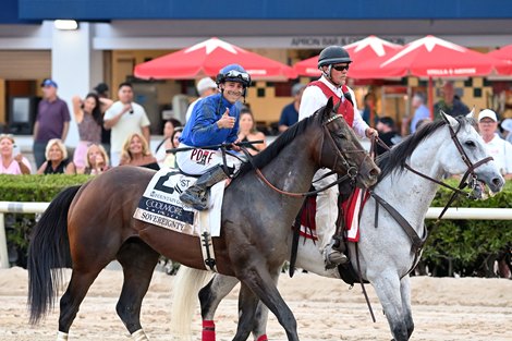 Sovereignty wins the 2025 Fountain of Youth Stakes at Gulfstream Park