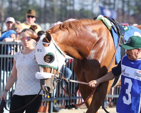 American Promise wins the 2025 Virginia Derby at Colonial Downs