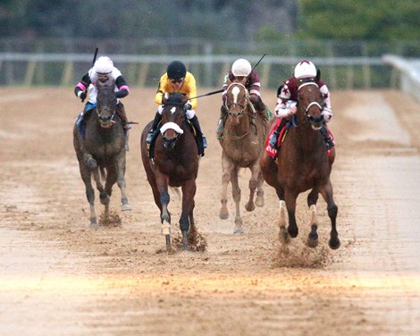 THORPEDO ANNA wins the 2025 Azeri Stakes at Oaklawn Park