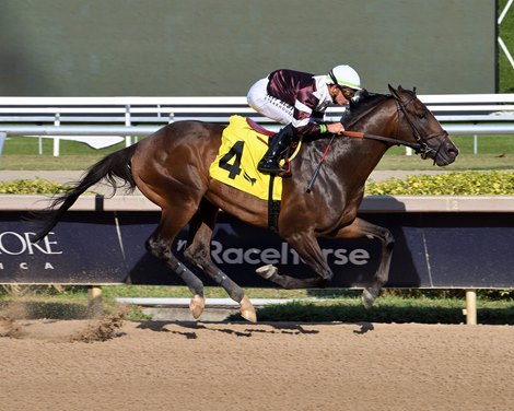 Praetor, AOC, Gulfstream Park, March 9 2025