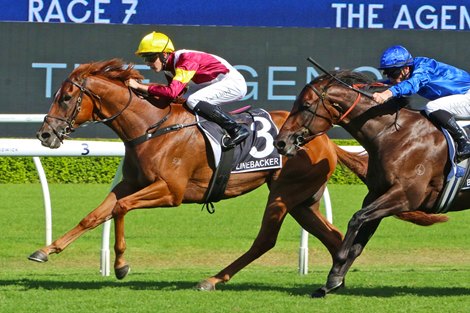 Linebacker wins the 2025 Randwick Guineas at Royal Randwick ridden by Zac Lloyd and trained by John O&#39;Shea &amp; Tom Charlton