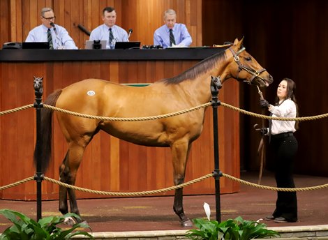 2025 OBS March 2 Year-Olds-in Training Sale, Hip 65