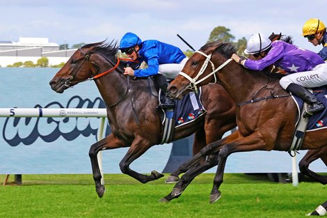 Broadsiding wins the 2025 Rosehill Guineas at Rosehill Gardens Racecourse<br>
Ridden by James Mcdonald and Trained by James Cummings