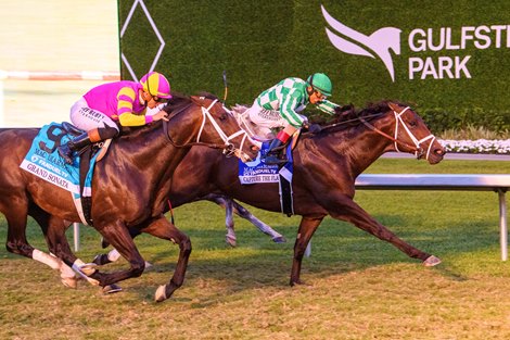 Capture the Flag wins the 2025 Mac Diarmida Stakes at Gulfstream Park