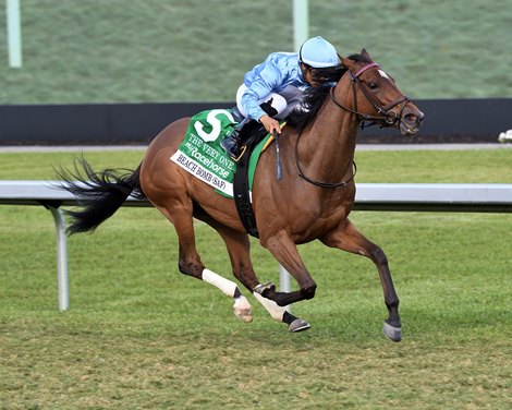 Beach Bomb wins the 2025 The Very One Stakes at Gulfstream Park