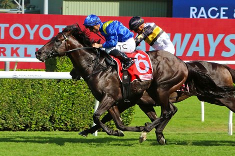 Royal Patronage wins the 2025 Canterbury Stakes at Royal Randwick ridden by Tim Clark &amp; trained by Gai Waterhouse and Adrian Bott