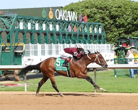 CLEVER AGAIN wins the 2025 Hot Springs Stakes at Oaklawn Park CLEVER AGAIN wins the 2025 Hot Springs Stakes at Oaklawn Park