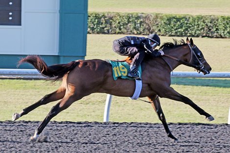 Hip 119, 2025 OBS March 2 Year-Olds-in Training Sale