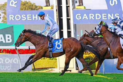 Private Harry wins the 2025 Galaxy Handicap at Rosehill Gardens Racecourse<br>
ridden by Ashley Morgan and trained by Nathan Doyle