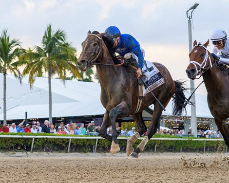 Sovereignty wins the 2025 Fountain of Youth Stakes at Gulfstream Park