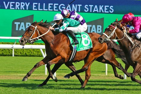 Via Sistina wins the 2025 Verry Elleegant Stakes at Royal Randwick<br>
ridden by James Mcdonald and trained by Chris Waller