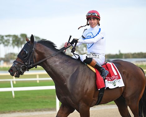 Owen Almighty wins the 2025 Tampa Bay Derby at Tampa Bay Downs