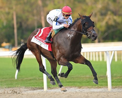 Owen Almighty wins the 2025 Tampa Bay Derby at Tampa Bay Downs