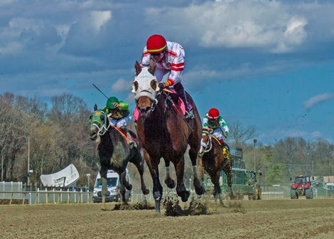 Pay Billy wins the 2025 Private Terms Stakes at Laurel Park