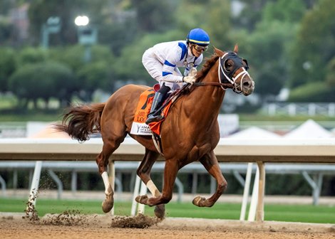 Locked and jockey Jose Ortiz win the Grade I, $300,000 Santa Anita Handicap, Saturday, March 1, 2025 at Santa Anita Park, Arcadia CA.<br>
© BENOIT PHOTO