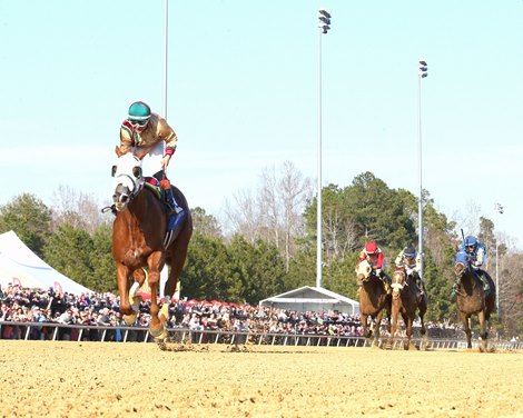 American Promise wins the 2025 Virginia Derby at Colonial Downs