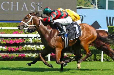 Lady Shenandoah wins the 2025 Surround Stakes at Royal Randwick<br>
ridden by James McDonald and trained by Chris Waller