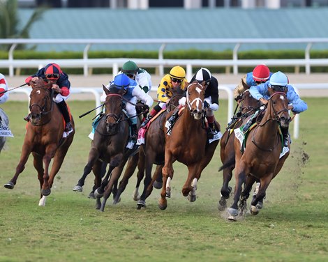 Beach Bomb wins the 2025 The Very One Stakes at Gulfstream Park