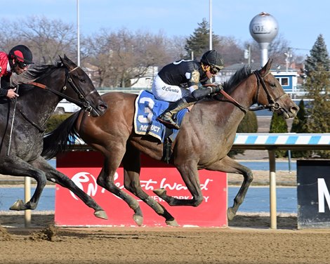 Drexel Hill wins the 2025 Busher Stakes at Aqueduct Racetrack
