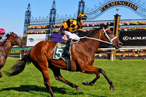 Joliestar wins the 2025 Newmarket Handicap at Flemington Racecourse ridden by Damien Lane and trained by Chris Waller