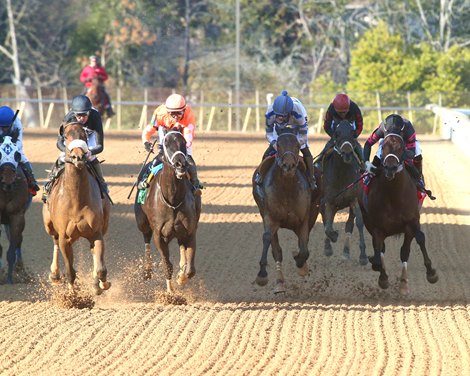 Navy Seal wins the 2025 Nodouble Breeders' Stakes at Oaklawn Park