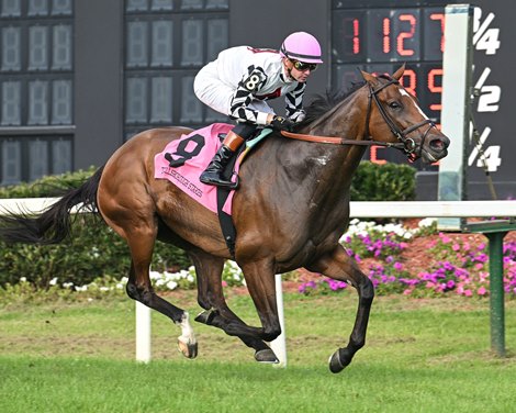 SAFFRON MOON wins the 2025 Hillsborough Stakes at Tampa Bay Downs